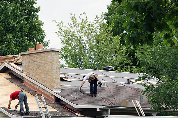 Best Storm Damage Roof Repair  in Trucksville, PA